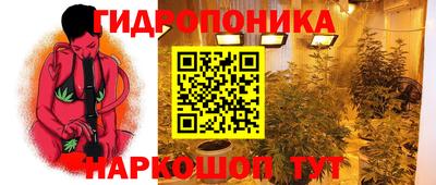 ECSTASY Ставрополь