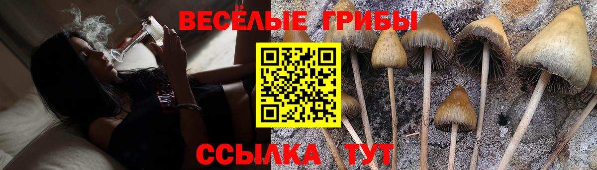 Псилоцибиновые грибы MAGIC MUSHROOMS Отрадный